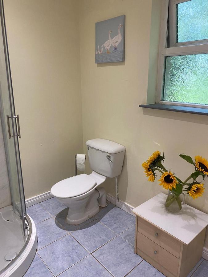 Orchard Lodge Glenavy Екстер'єр фото